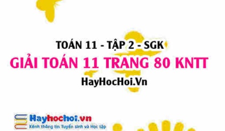 Giải Toán 11 trang 80 tập 2 Kết nối tri thức